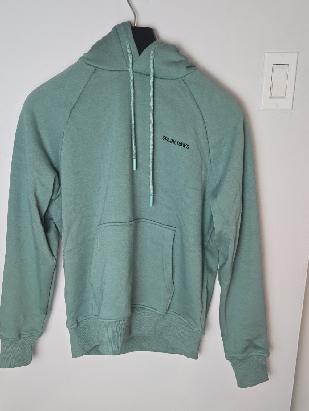 Spark Paws Men's Sage Green Pullover Hoodie
